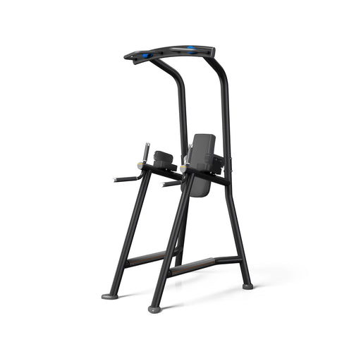 Matrix Fitness Magnum VKR W/Chin | Fitness Experience