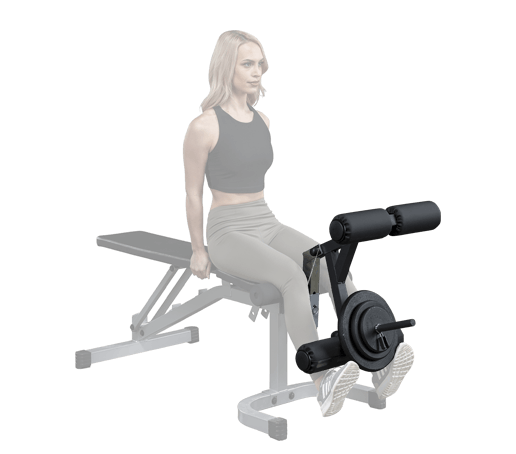 Shop weight benches in Canada Fitness Experience leg attachment leg attachment