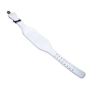 Genesis 4"Leather Lifting Belt