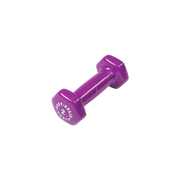 Bodysolid Light Pruple 2lb Vinyl Dumbbell | Fitness Experience