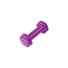 Bodysolid Light Pruple 2lb Vinyl Dumbbell | Fitness Experience