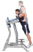 Hoist Fitness CF-3252-A Vertical Knee Raise/Dip view of dip exercise | Fitness Experience