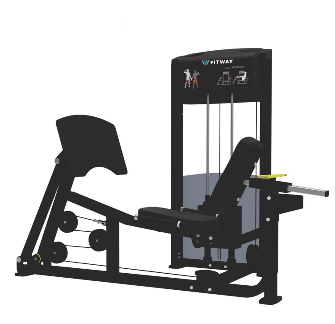 Quality Leg Machines Canada - Fitness Experience