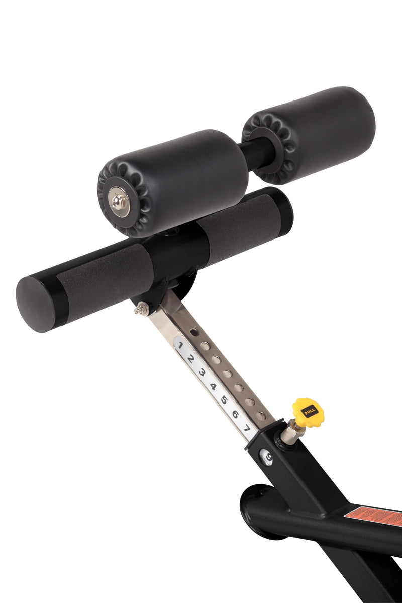 HF-5664 Ab/Back Roman Hyper