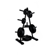Fitway standard 1" plate tree shown with plates at an angle from Fitness Experience