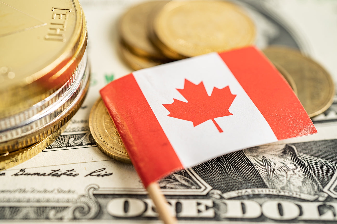 Canadian flag on a stick with gold coins and dollar bills in the background