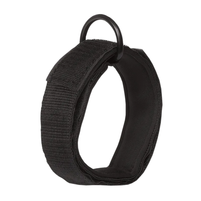 Inspire Fitness Ankle Strap full view | Fitness Experience