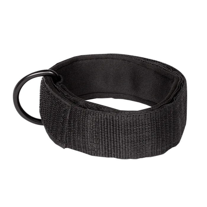 Inspire Fitness Ankle Strap full view | Fitness Experience