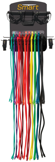 Prism Fitness Smart Resistance Wall Gym, Complete Kit with cable caddy | Fitness Experience 