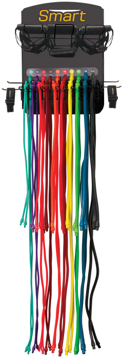 Prism Fitness Smart Resistance Wall Gym, Complete Kit with cable caddy | Fitness Experience 