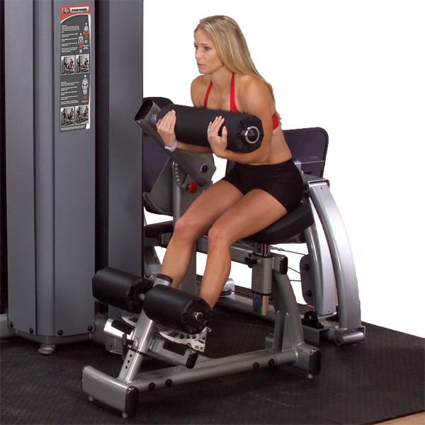 Body-Solid Pro Dual Ab and Back Machine Freestanding | Fitness Experience