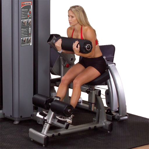Body-Solid Pro Dual Ab and Back Machine Freestanding | Fitness Experience