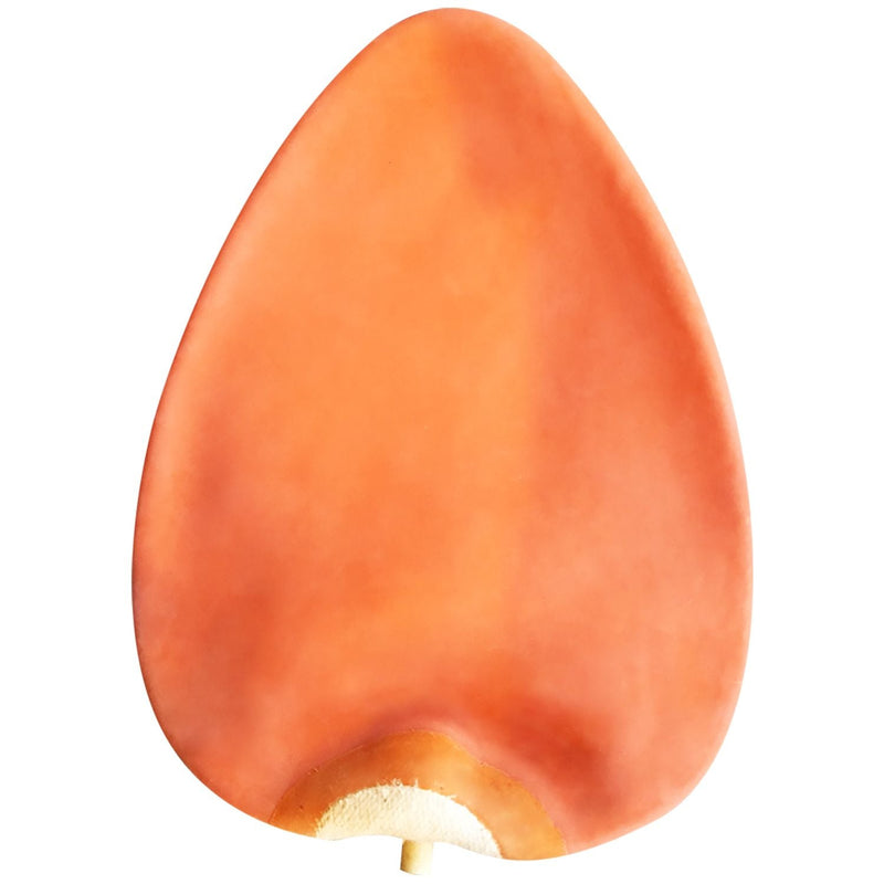 Ringside Boxing Latex Speed Bag Bladder