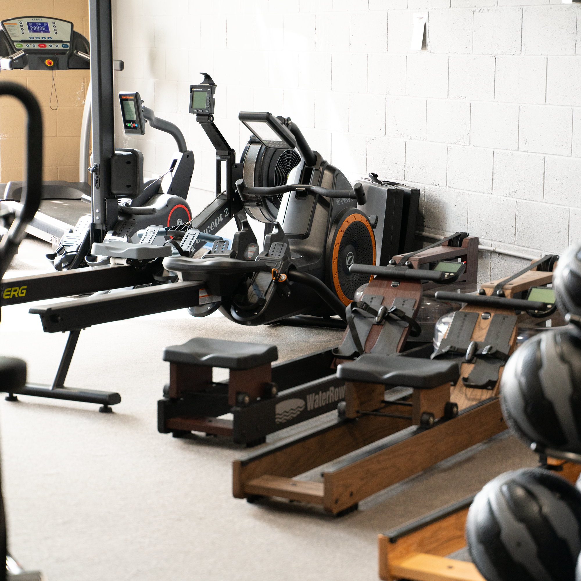 O shopping gym equipment deals