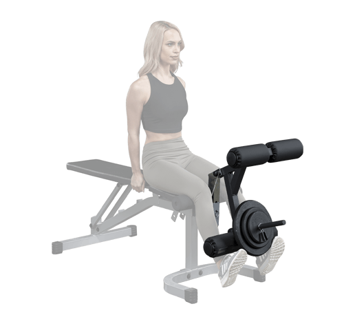 BodySolid 4 Roller Leg Developer - Fitness Experience