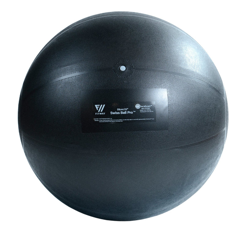 FitWay Equip. 55cm FitWay Stability Ball - Fitness Experience
