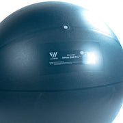FitWay Equip. 65cm FitWay Stability Ball - Fitness Experience