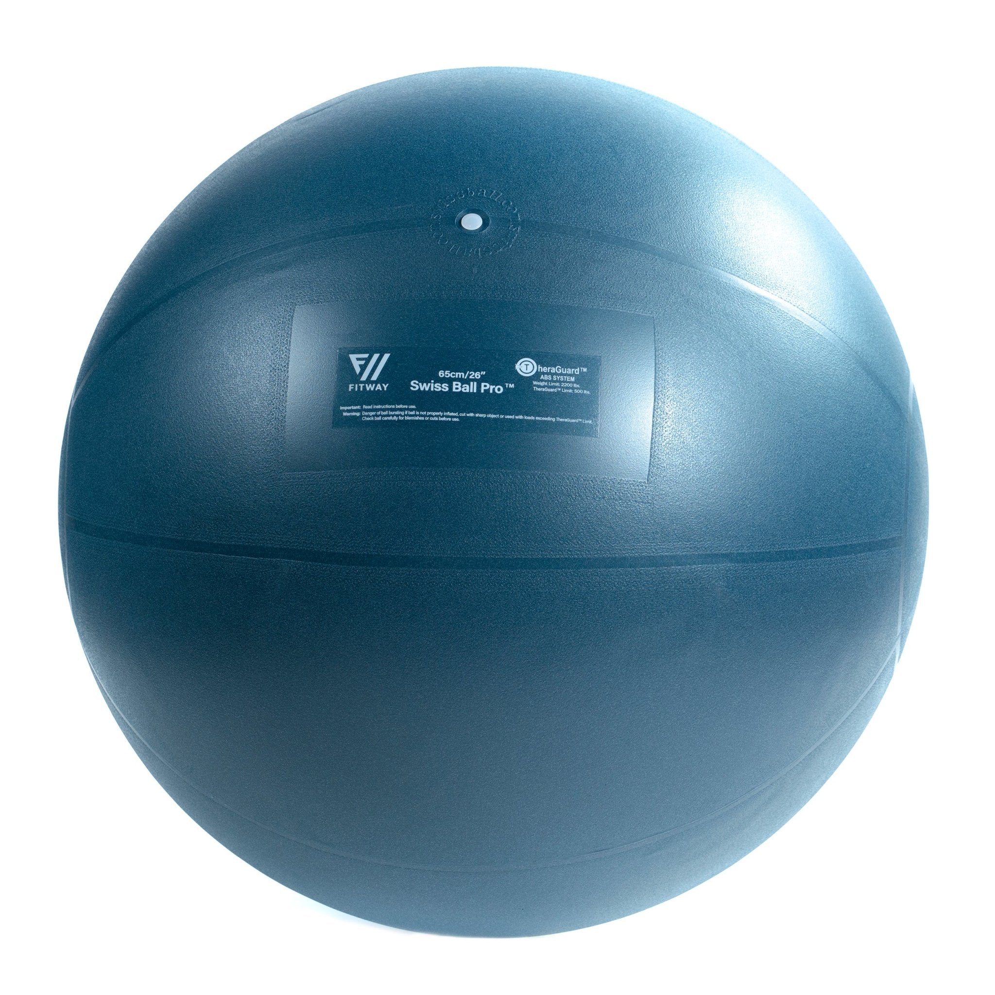Fitway 65cm FitWay Stability Ball — Fitness Experience
