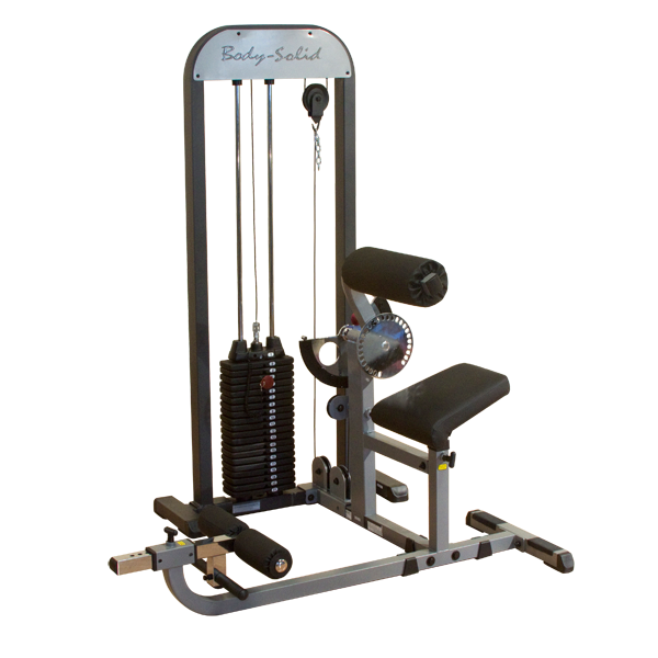 Bodysolid Pro-Select Ab and Back Machine full view | Fitness Experience