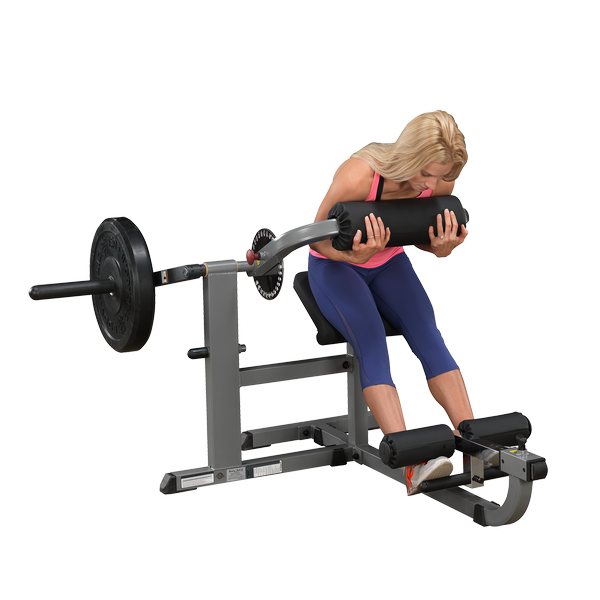 Bodysolid Cam Series Ab and Back Machine view in use | Fitness Experience