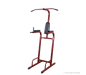 BodySolid BFVK10 Vertical Knee Raise Chin Up - Fitness Experience