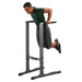 BodySolid GDIP59 Dip Station - Fitness Experience