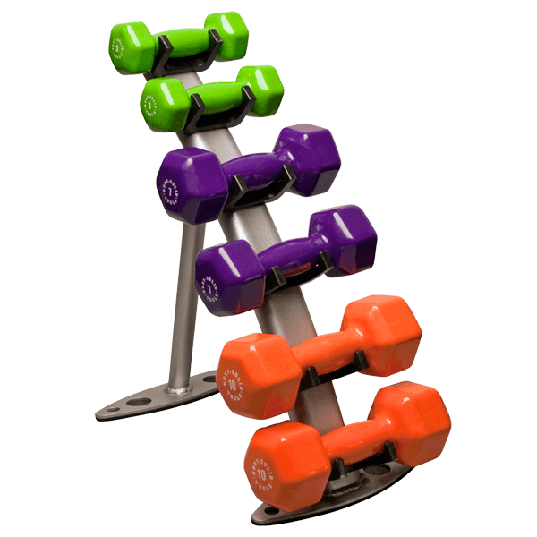 BodySolid GDR10 3 Pair Dumbbell Rack - Fitness Experience