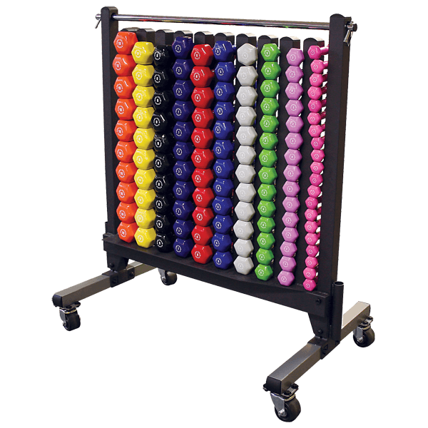 BodySolid GDR500 Commercial Dumbbell Rack - Fitness Experience