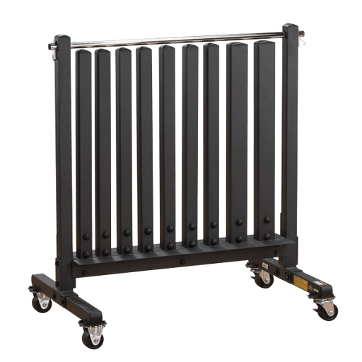 BodySolid GDR500 Commercial Dumbbell Rack - Fitness Experience