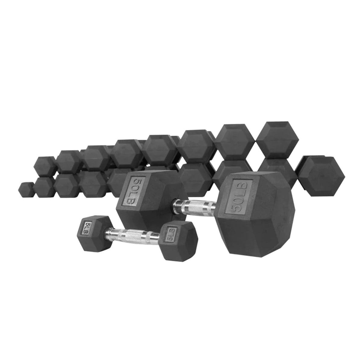 Fitness Experience Home Gym Package - Fitness Experience