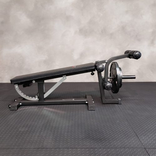 IronMaster Leg Extension Pro - Fitness Experience