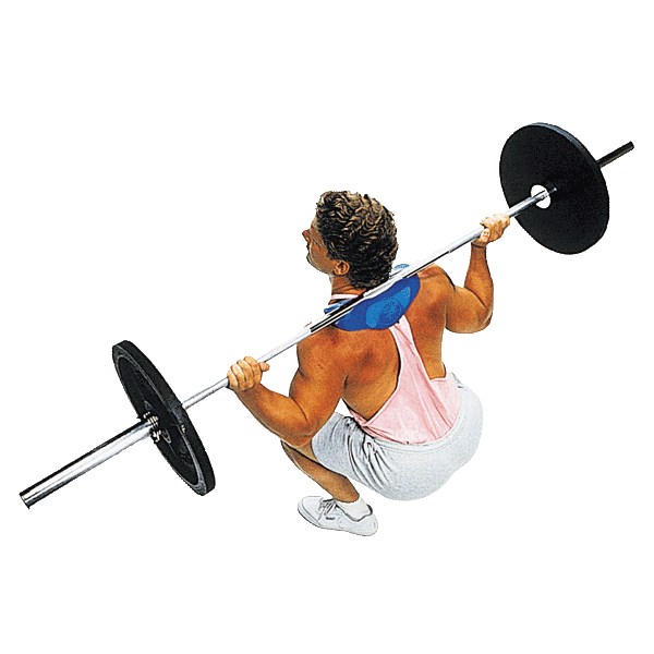 BodySolid MR136 Manta Ray - Fitness Experience