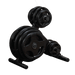 BodySolid OWT24 Olympic Plate Tree - Fitness Experience